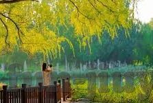 去澳门赌场玩法-澳门赌场玩法全解析