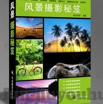 足球的及时比分直播-足球及时比分直播，一场跨越时空的热血盛宴
